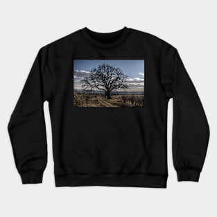 Tynedale Tree Crewneck Sweatshirt